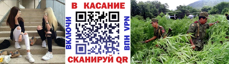 Наркотические вещества Велиж Канабис  ГАШИШ 