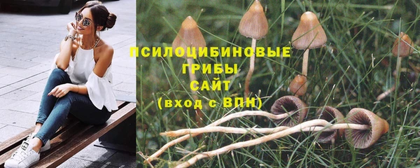 a pvp Богородицк